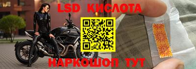 spice Новокубанск