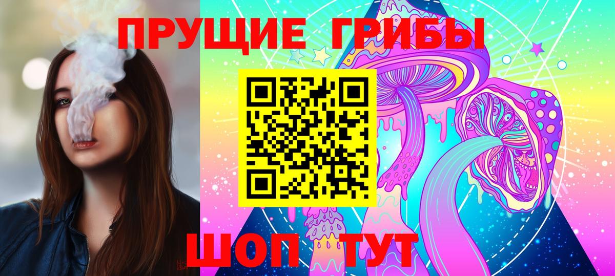 Псилоцибиновые грибы Psilocybe  Псилоцибиновые грибы мицелий  Тимашёвск  где купить наркоту  Вход с VPN 