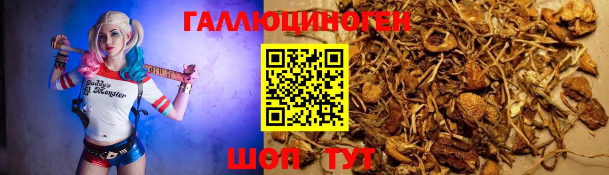 Псилоцибиновые грибы GOLDEN TEACHER Тимашёвск